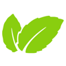 Mint Énergie